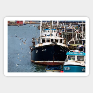 Fishing boats and seagulls Sticker